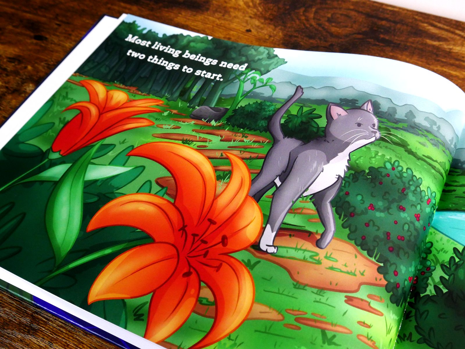 Interior illustration from It All Begins With Two