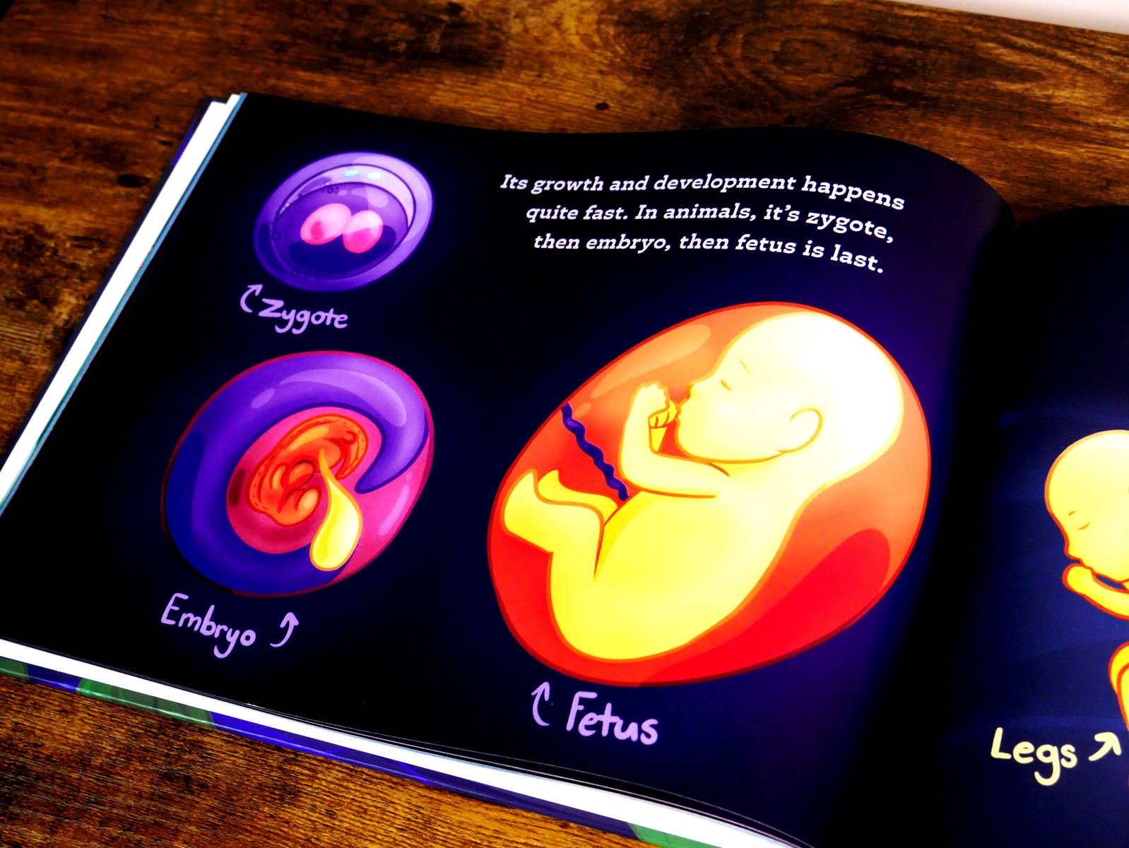 Interior page from It All Begins With Two