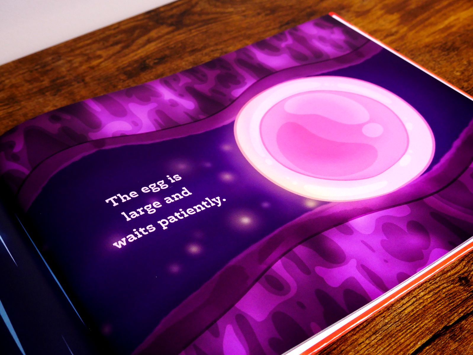 Illustrated egg from It All Begins With Two