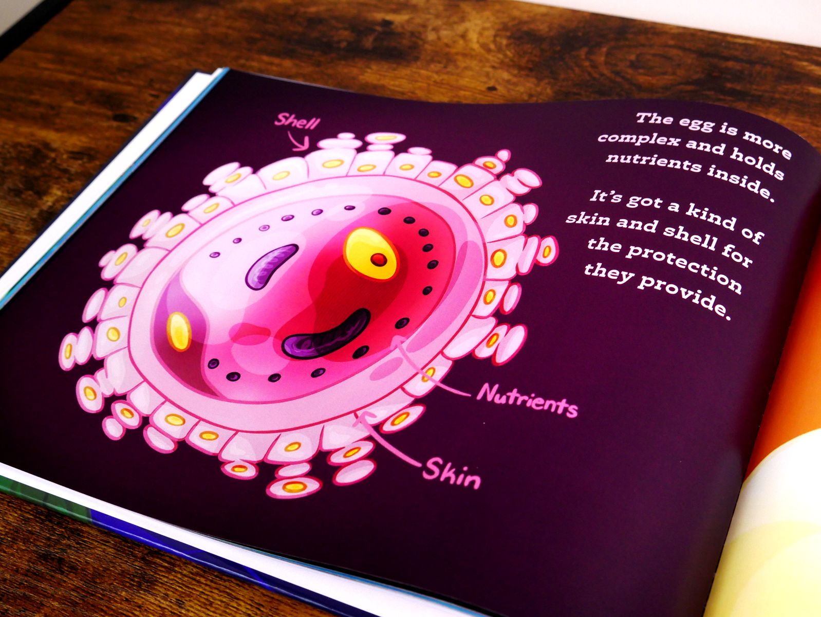 Interior page labeling the egg shell and nutrients from It All Begins With Two