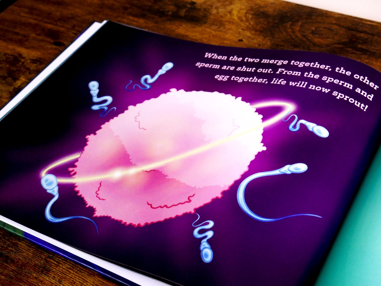 Interior page showing sperm surrounding an egg from It All Begins With Two